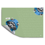 Плёнка цветная для уроков труда 50х70 см "Енот" (Феникс+)