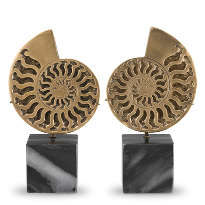 Декоративный фигурки Object Ammonite set of 2 арт.113731