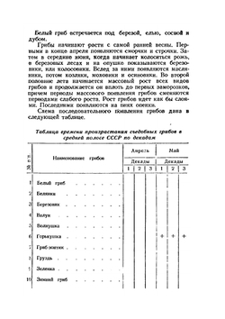 Заготовка грибов | И.А. Лагутин