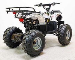 Квадроцикл GreenCamel Атакама T220 (48V 1000W R8 Дифференциал) пониженная