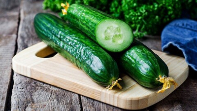Огурец гладкий