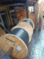 Комплект IP-видеонаблюдения в лифте LiftVision-60 до 17 этажей без видеокамеры