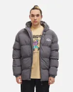 Купить Пуховик Anteater AW25 Downjacket Hooded Crispy серый Пуховик Anteater AW25 Downjacket Hooded Crispy серый