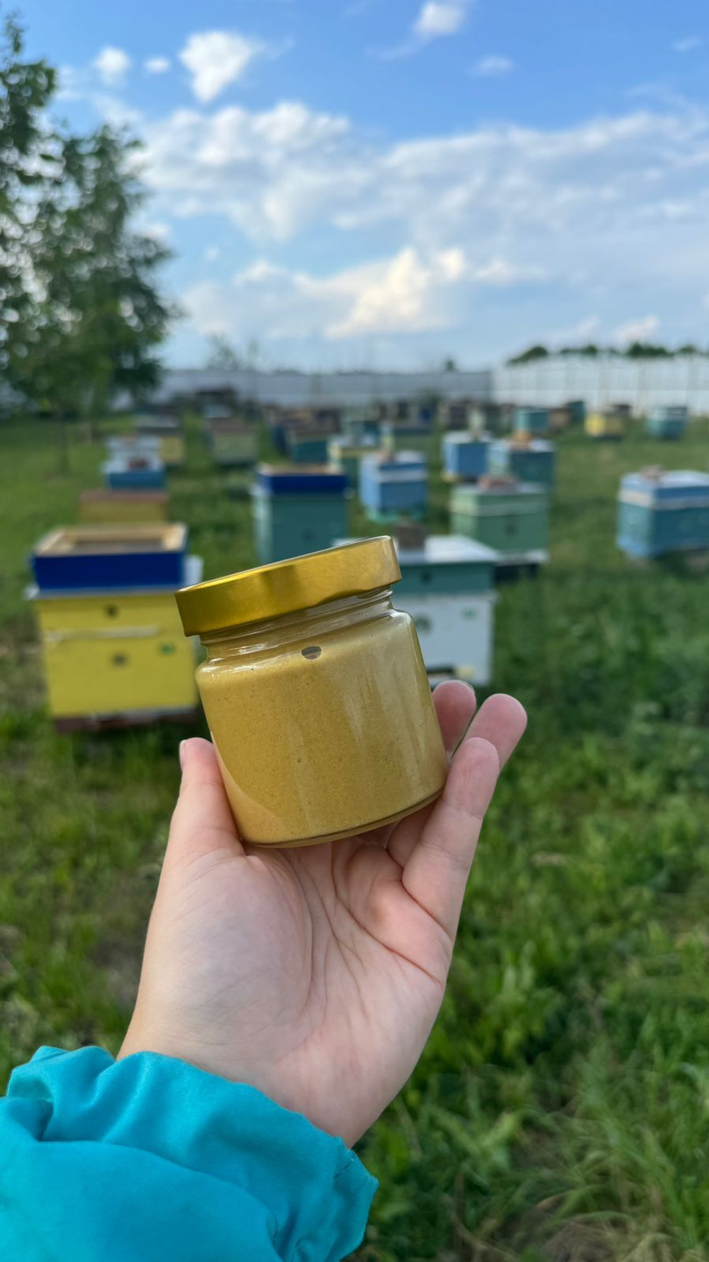 СИЛА ПЫЛЬЦЫ