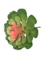 Суккулент 108 зеленый