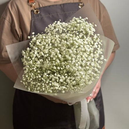 Букет из живых цветов белая гипсофила 5 шт, 50 см, в пленке, без зелени
