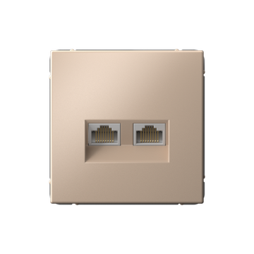 Розетка компьютерная 2-м ArtGallery RJ45 + RJ45 кат.5E механизм песочн. SE GAL001285