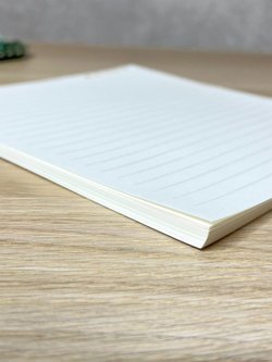 Запасные блоки линейка 60л д/блокнота 195х210 мм (8808-002)