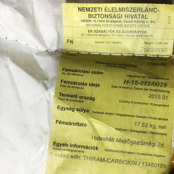 Олинда семена гороха (Syngenta / Сингента) – фото 4