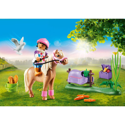 Playmobil - Пони &quot;Исландский&quot; коллекционный 70514