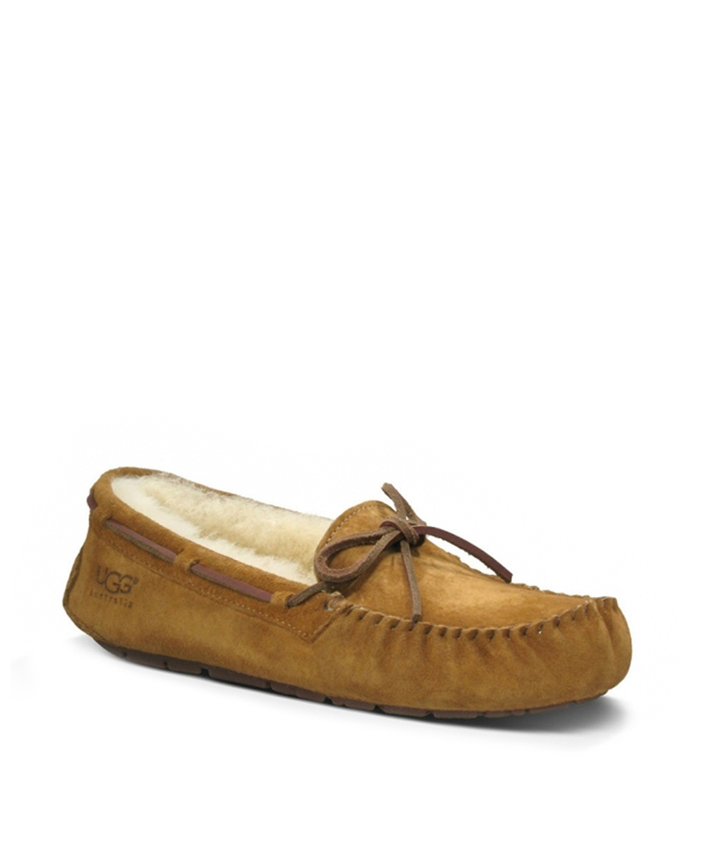 DACOTA-chestnut