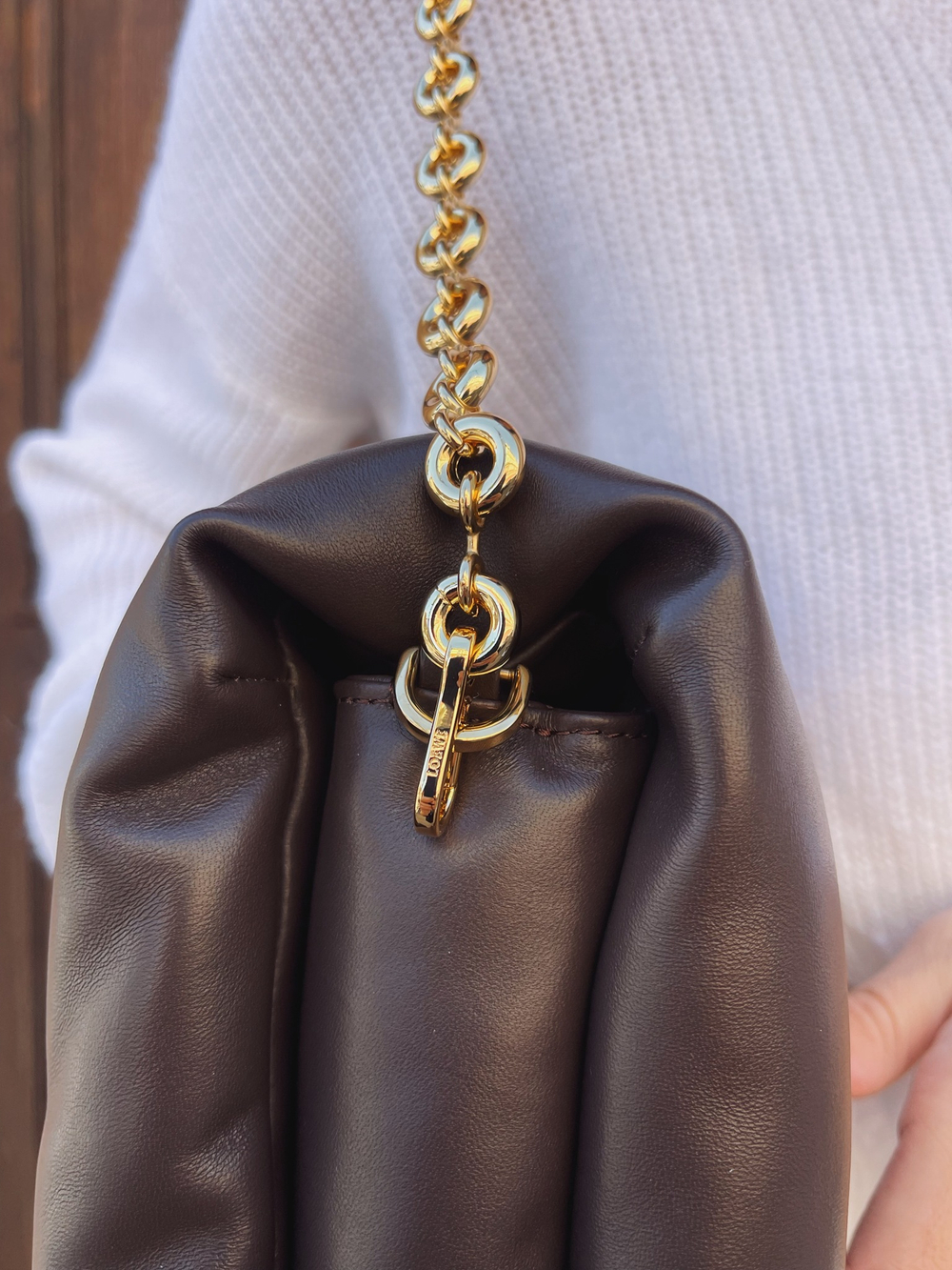 Loewe Puffer Goya Bag