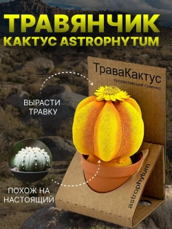 ТРАВЯНЧИК Трава Кактус прорастающий сувенир в ассортименте