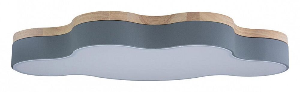 Накладной светильник Loft it Axel 4 10005/36 Grey