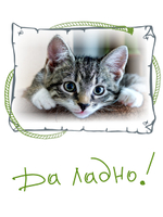 Футболка с котенком "Да ладно"