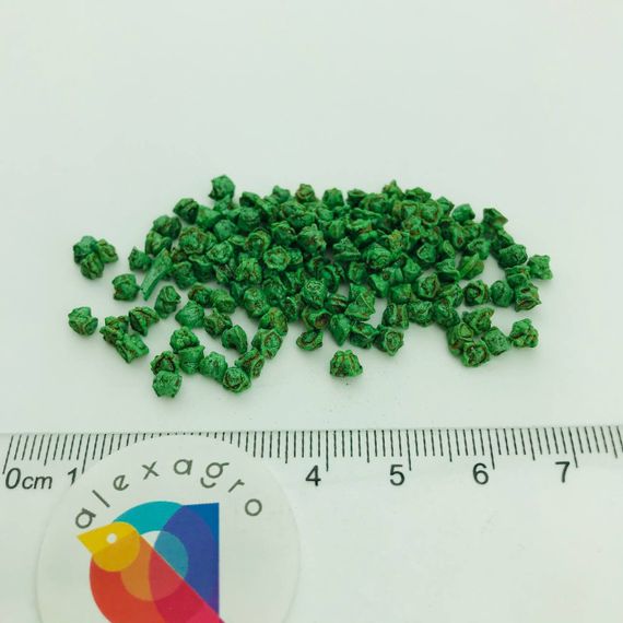 РОНДА F1 семена свеклы Bejo оисание