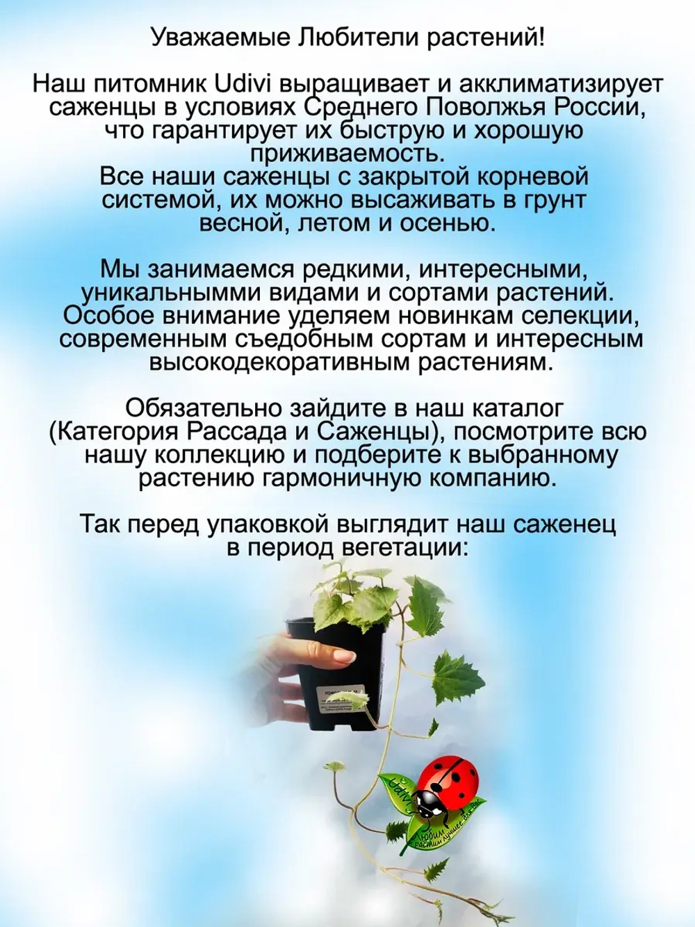Лофос Белоснежный ампельная глоксиния