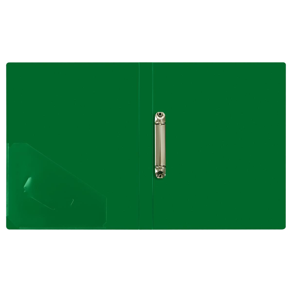 Папка на 2 кольцах А4 пластик, зеленая "Стандарт" (Стамм)