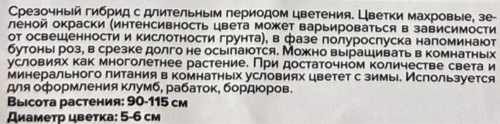 Эустома АВС Грин махровая 5 шт СМЦ-343