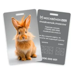 Карта Москвёнок BUNNY №2 (проход + питание)
