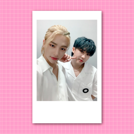Плюшка / Мини-поло #132 / STRAY KIDS