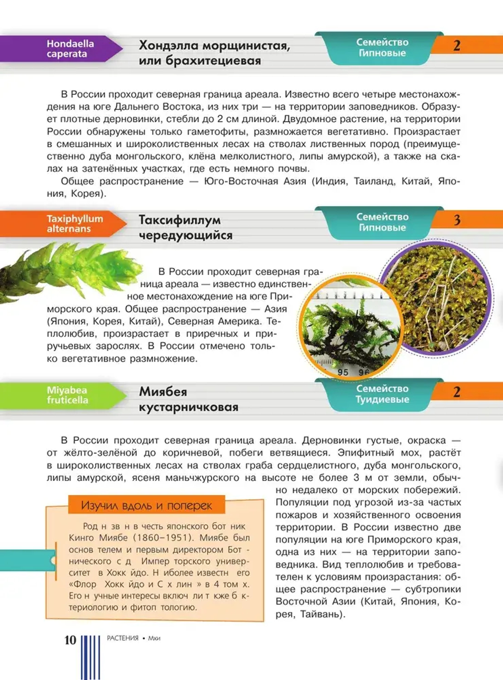 Красная книга России. Растения Грибы Лишайники