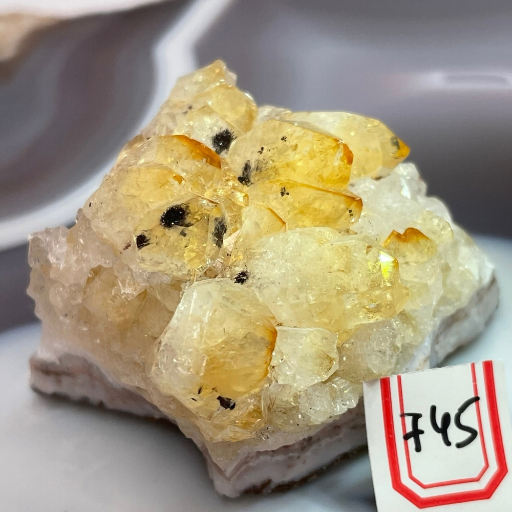 29044 *Цитрин Друза 50мм