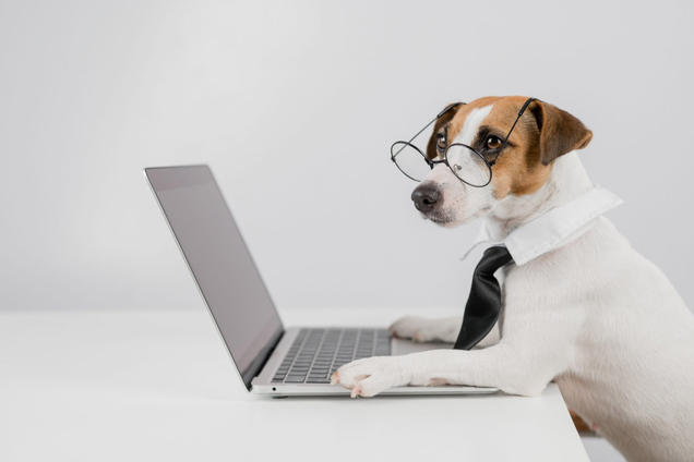 Поможем вашей системе!