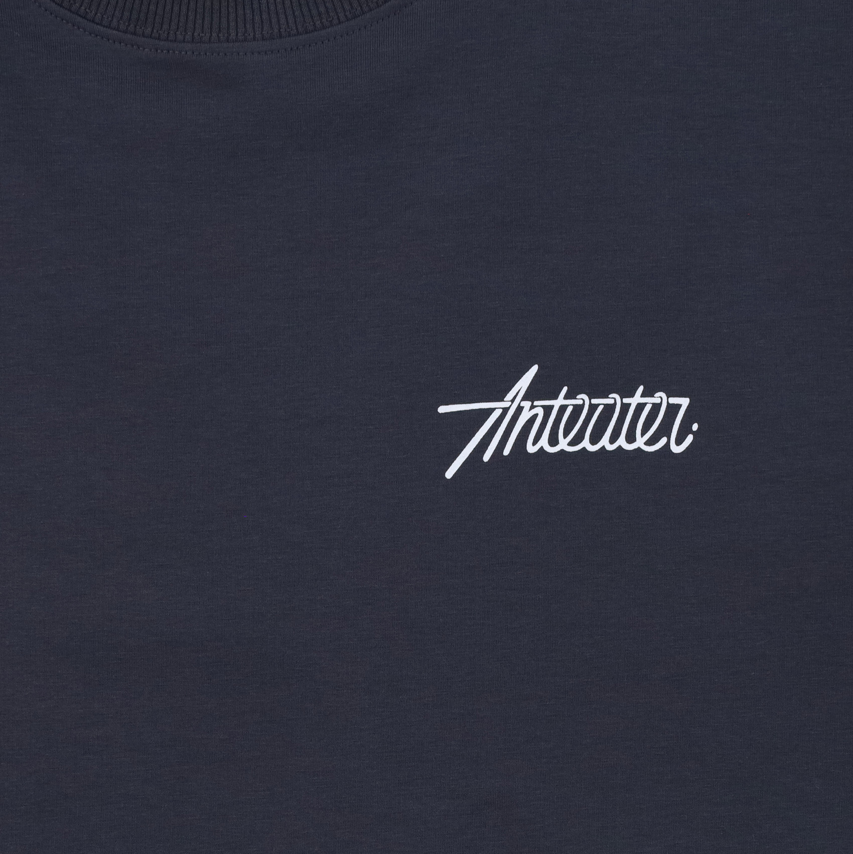 Лонгслив Anteater Phat Long110 (dark-grey) артикул: - купить в магазине Дайс