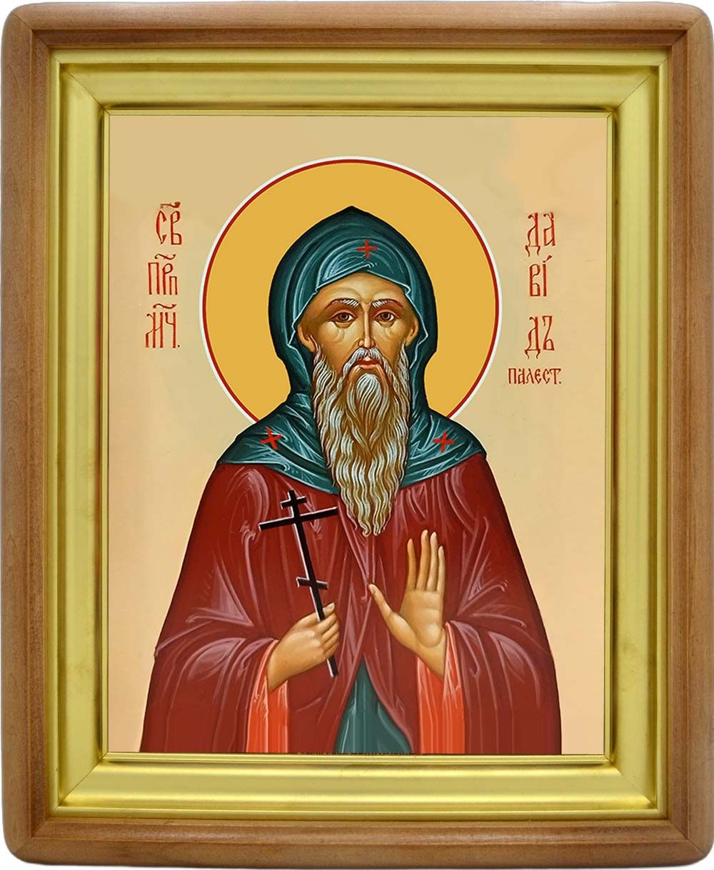 Давид Палестинский преподобномученик . Икона на холсте.