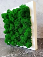 Панно из мха набор 3 шт.