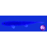 Слаг силиконовый Vido Craft Sebastian (20см / 8"), 2шт