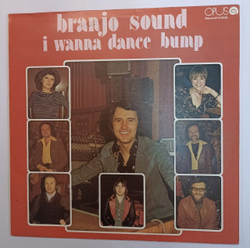 Винтажная виниловая пластинка Branjo Sound I Wanna Dance Bump (Czechoslovakia 1978)