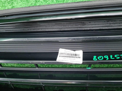 Решетка радиатора Mini Countryman F60 (2020-2023)