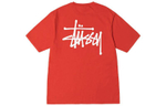Футболки Stussy Basic pigment dyed T, 1904879