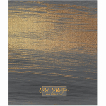 ТЕТРАДЬ ОБЩАЯ 48 ЛИСТОВ НА СКРЕПКЕ “Gold Collection”