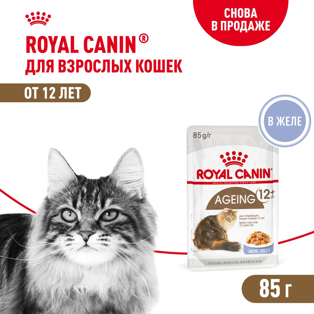 Royal Canin Ageing 12+ Эйджинг Корм влажный для взрослых кошек в возрасте старше 12 лет желе 85г