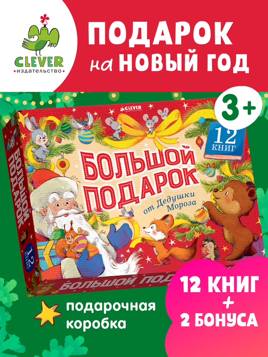 Большой подарок от Дедушки Мороза. Комплект из 12 книг