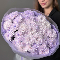 Букет хризантем Сиреневый Алтай