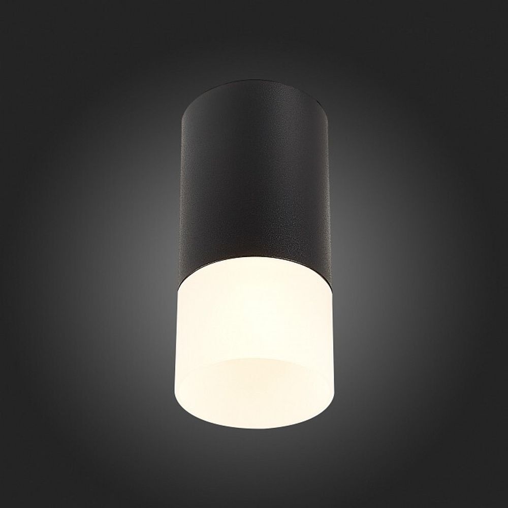 Накладной светильник ST-Luce ST100 ST100.412.01