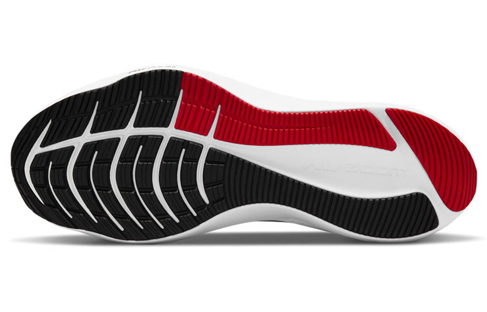 Кроссовки Nike Zoom Winflo 8