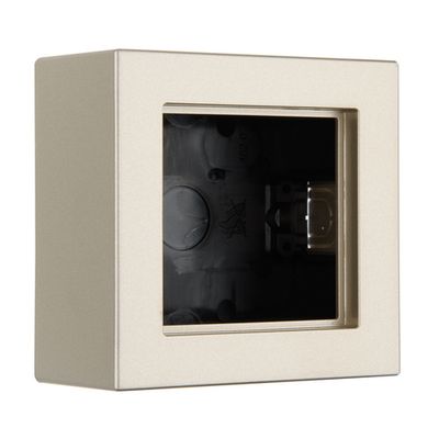 Коробка для накладного монтажа 1-местная LIREGUS EPSILON PMD-001.E/Ch, шампань