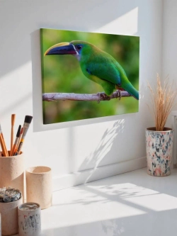 Картина на стену 40 X 50 Птица туканет