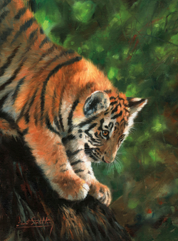 Коллекция Животные