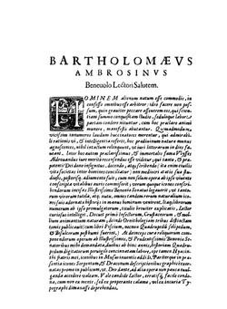 Vylssis Aldrovandi. Serpentvm, et draconv historiae libri dvo | Ulisse Aldrovandi