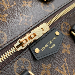 Louis Vuitton Speedy Trunk 25