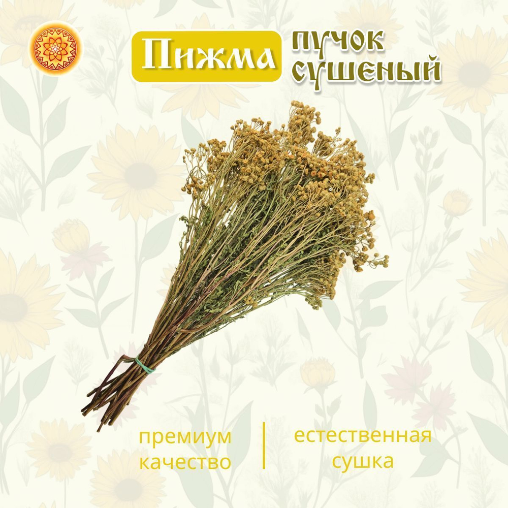 Пижма, пучок (1 шт.)  ПЖПЧ-00-001