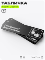 Табличка Осторожно! Злой геймер, шуточная прикольная табличка на дверь и стену черная, для офиса и дома, серия COSMO FUN, 30х10 см, Айдентика Технолоджи