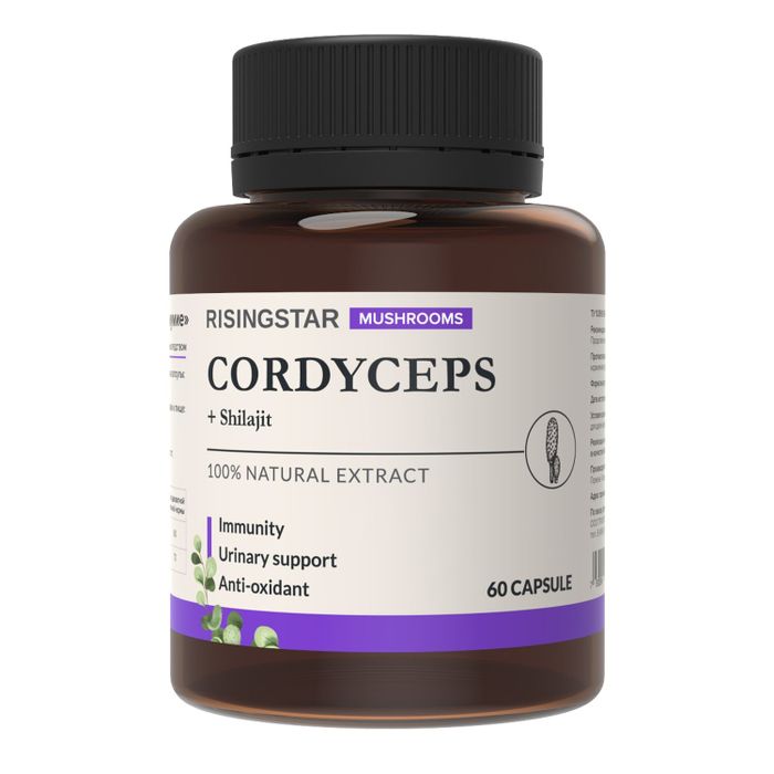 Экстракт гриба кордицепс с мумиё, Cordyceps, Risingstar, 60 капсул