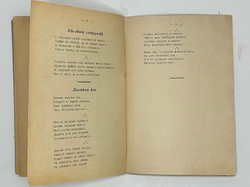 Синегуб С. Стихотворения. 1905 год. Ростов-на-Дону: Тип. Донская речь, 1906 г.[Запрещённое издание]